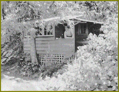 Arthur Siddall's Mountain Cabin