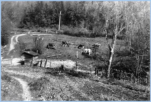 Peter and Maria Wiensz's Majuba Hill Farm - 1945