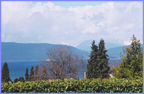 UBC - View from the Rose Garden, February